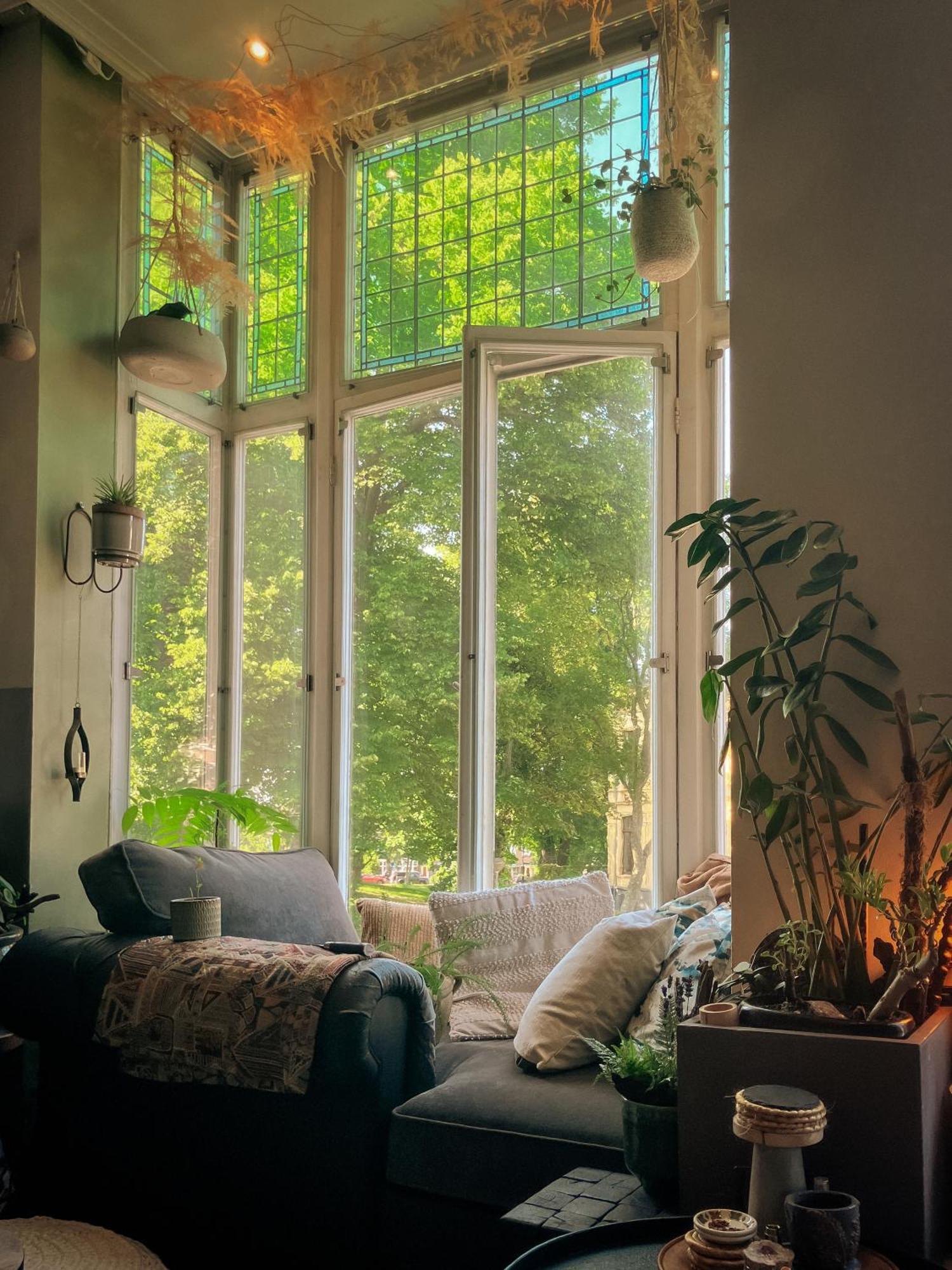 Lovely, 1898 Jugendstil Design Apartment, Old Haarlem City Centre, Fully Renovated With Parkview Near Amsterdam And Zandvoort, Bloemendaal Beach Екстер'єр фото