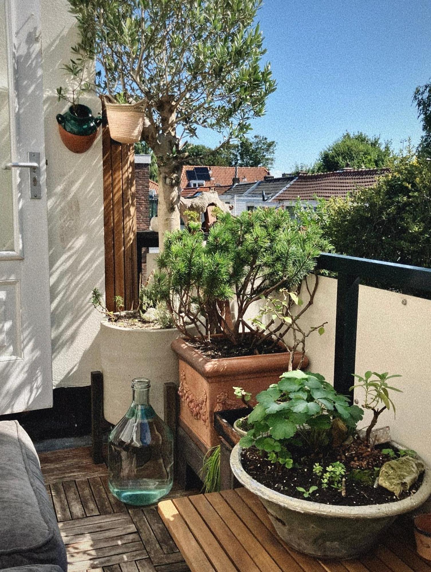 Lovely, 1898 Jugendstil Design Apartment, Old Haarlem City Centre, Fully Renovated With Parkview Near Amsterdam And Zandvoort, Bloemendaal Beach Екстер'єр фото